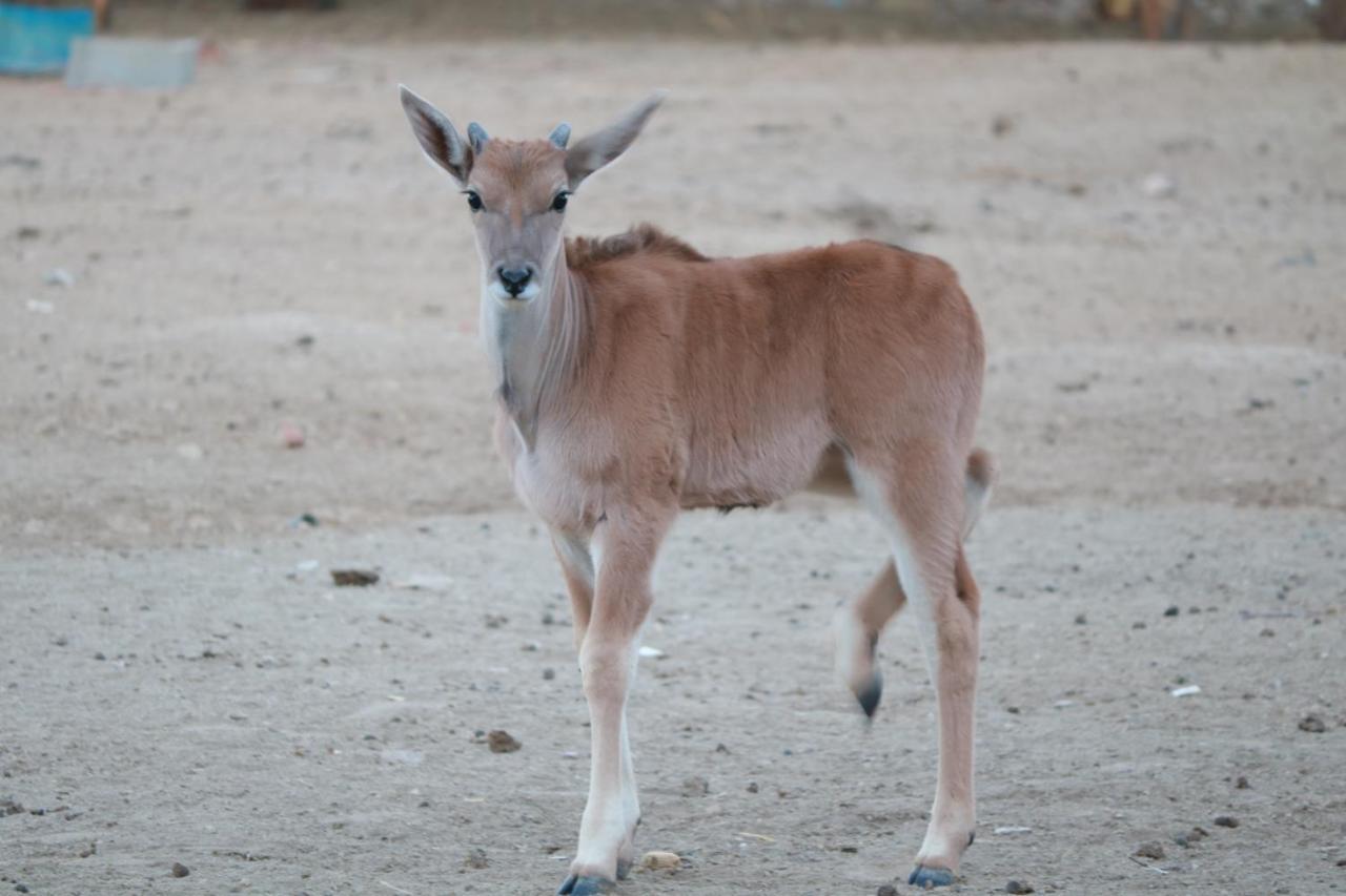 Maritz Country Lodge Keetmanshoop Zewnętrze zdjęcie
